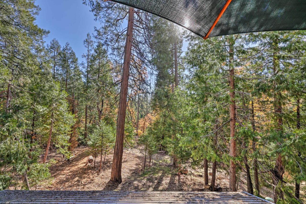 Quiet Twain Harte Cabin With Deck And Forest Views! 외부 사진